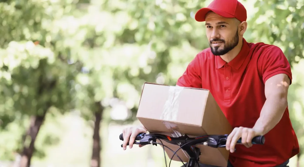 Quantas Tentativas de Entrega São Feitas em Compras Online?